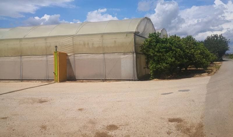 PA ELS SISCARS POLIG 14 PARC 2, 46250 L'ALCUDIA