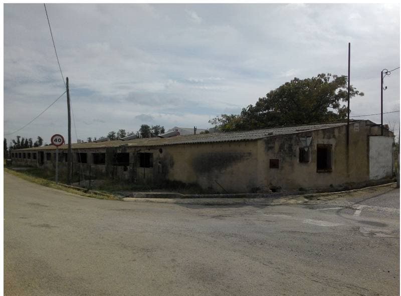 CL AZAGADOR 0, 12510 SAN RAFAEL DEL RIO