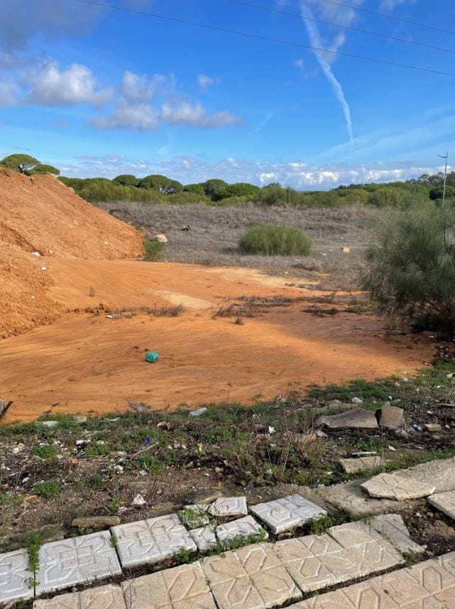 AV JUAN CARLOS I 0, 11160 BARBATE - Imagen 1