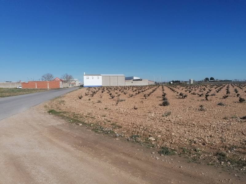 CL ALMENDROS 0, 13620 PEDRO MUÑOZ - Imagen 1
