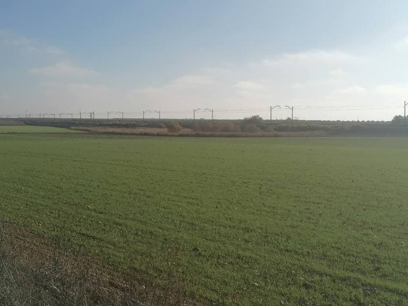CM DE EN MEDIO 0, 13610 CAMPO DE CRIPTANA - Imagen 1