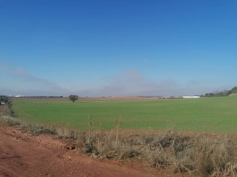 CL PARAJE DE LAS PEÑAS RUBIA 0, 13600 ALCAZAR DE SAN JUAN - Imagen 1