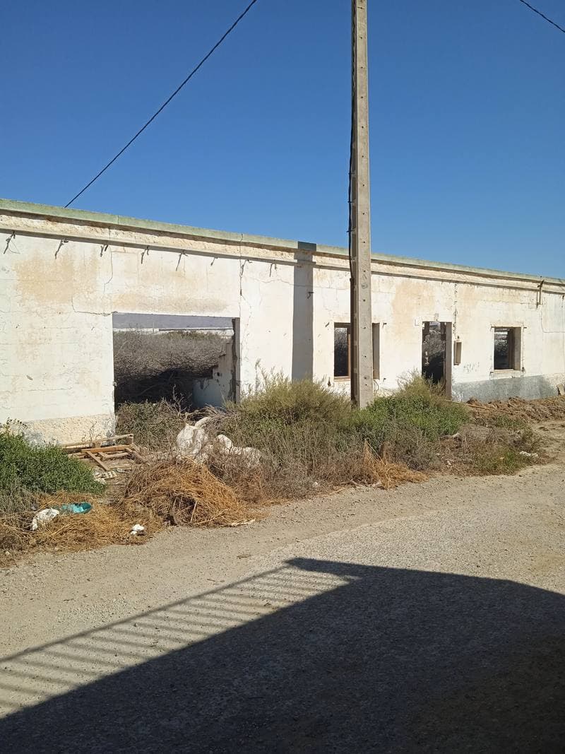 CL OLMO 0, 04715 EJIDO (EL)