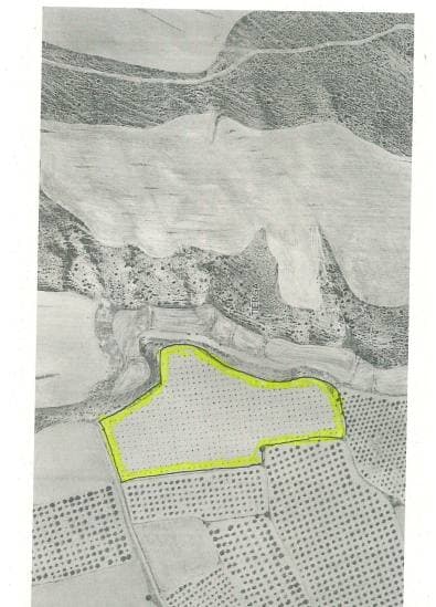 PD PARAJE EL PLANO 0, 50269 TIERGA