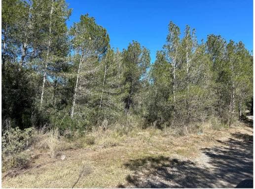 PG CASALOT 0, 43892 MONT-ROIG DEL CAMP - Imagen 1