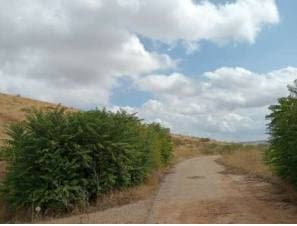 CL CERVANTES 36, 45522 ALBARREAL DE TAJO - Imagen 1