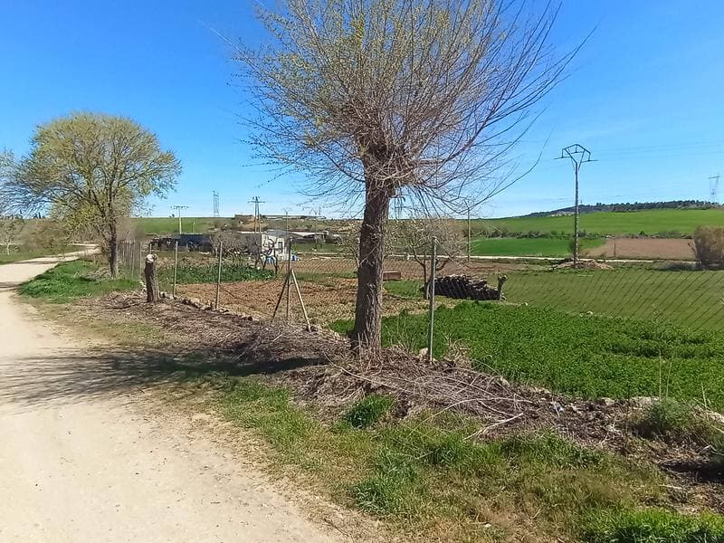LG VALDENEBRO O ESPANTA 0, 47800 MEDINA DE RIOSECO