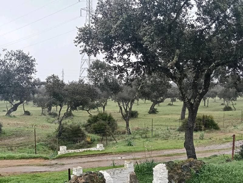 PA EL CHAPARRAL 0, 41219 GUILLENA - Imagen 1