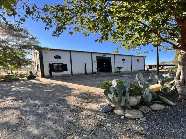 PJ PAGO LLANOS DE VICO 0, 11560 TREBUJENA - Imagen 1