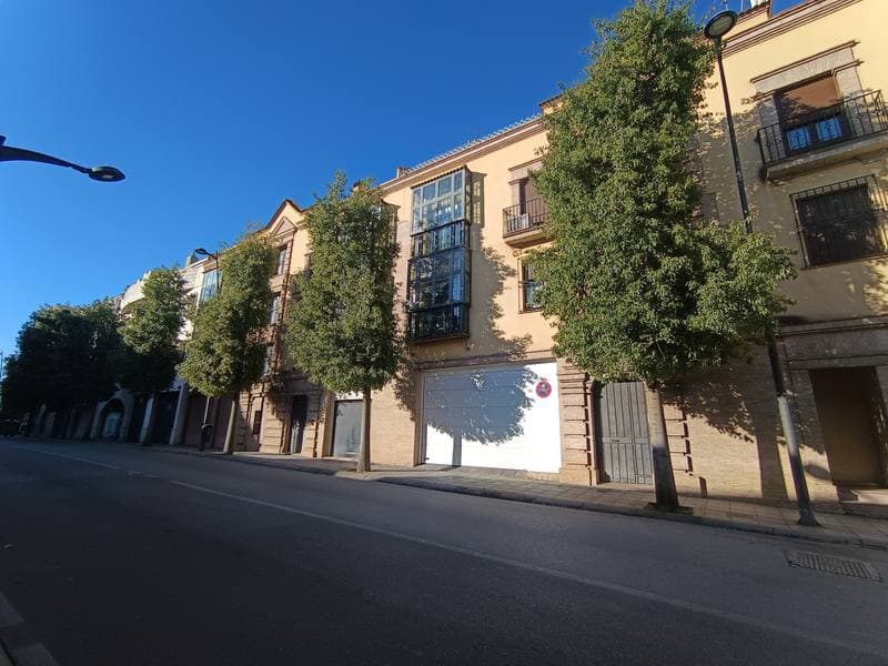 AV ANDALUCIA 6, -1, 3 23740 ANDUJAR