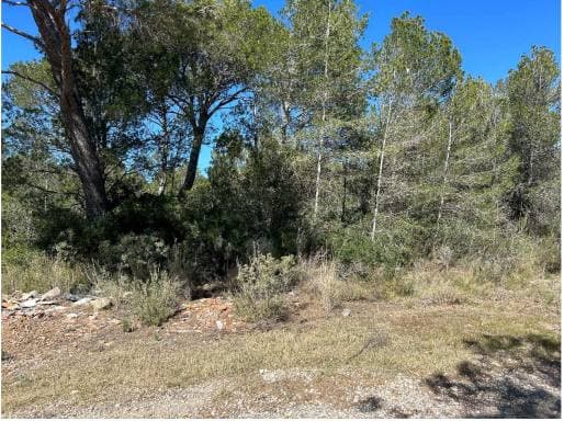 PG EL CASALOT 0, 43892 MONT-ROIG DEL CAMP