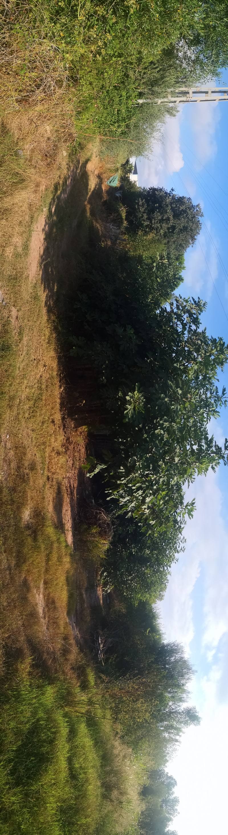 CL BAT. ANTIAEREA K GOTTWALD 2, 46520 SAGUNT-SAGUNTO