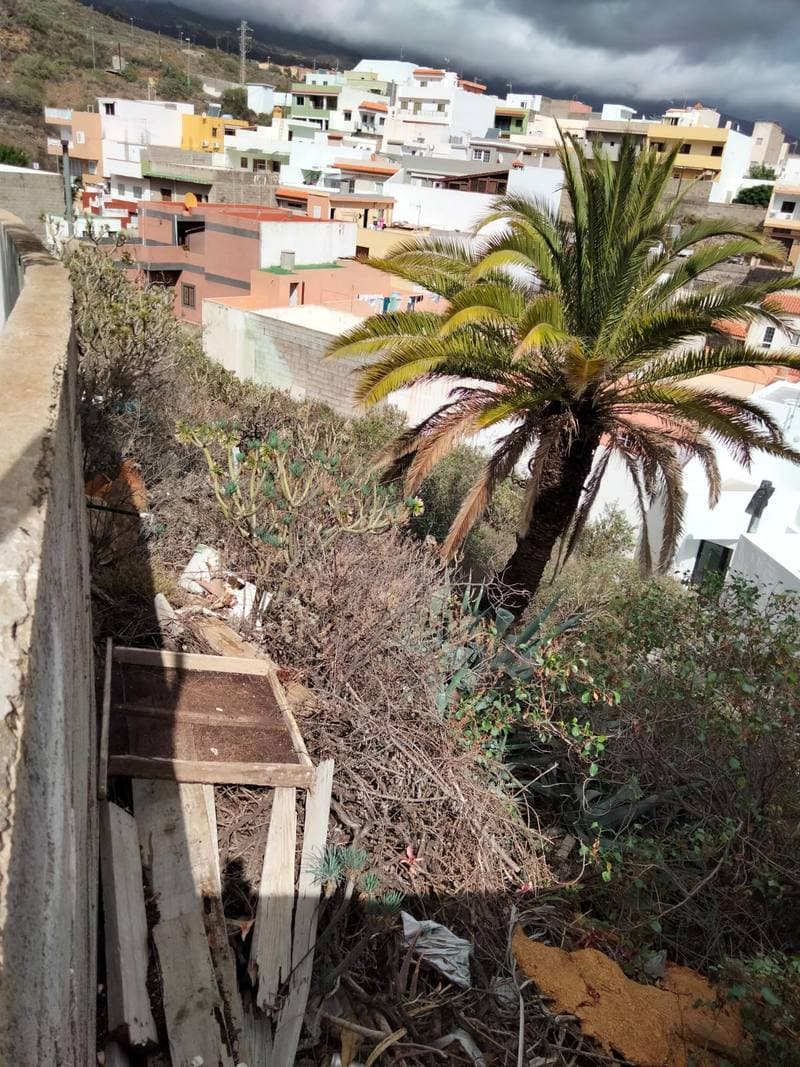 CL TOMAS BAULEN DE PONTE 61, 38500 GUIMAR - Imagen 1