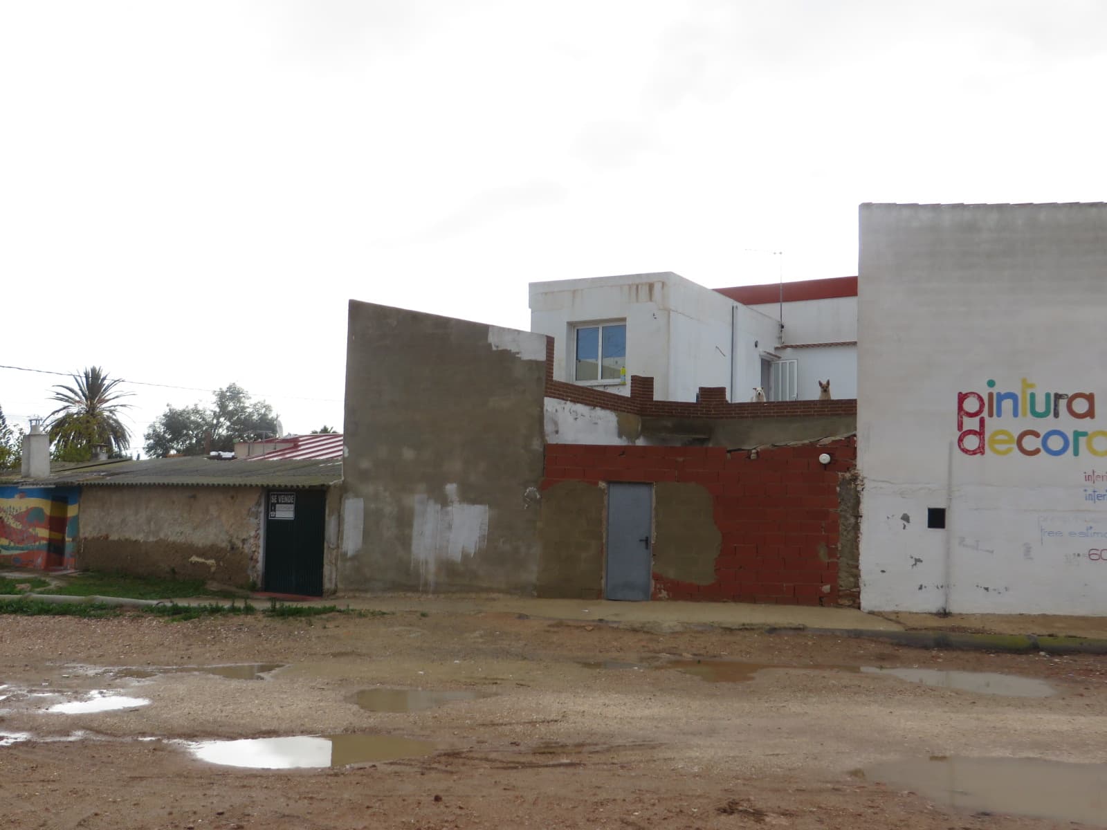FINCA Nº 1.860 (Reg. Prop. de Almoradí): URBANA. Casa-habitación de planta baja, con patio descubierto y un pozo en los ensanches de delante de la casa, sita en término de Los Montesinos, barrio Lo Sastre, número diecisiete, que ocupa una superficie - Imagen 1