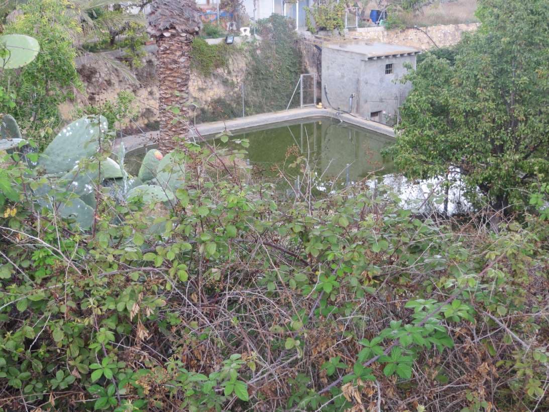 Finca sita en la Partida Pesauro, Polígono 3, parcela 165, en la localidad de La Nucia, provincia de Alicante. Trozo de tierra de 13.271 m2, secano y huerta. Linda: Norte, herederos de Bautista Pérez; Sur y Este, finca Salomé; y Oeste, Esperanza y Ma - Imagen 1