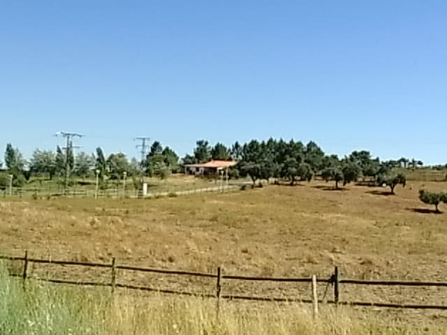 LG QUESERITA 0 - Imagen 1