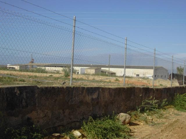 FINCA 62038 del Municipio de Palma - Imagen 1