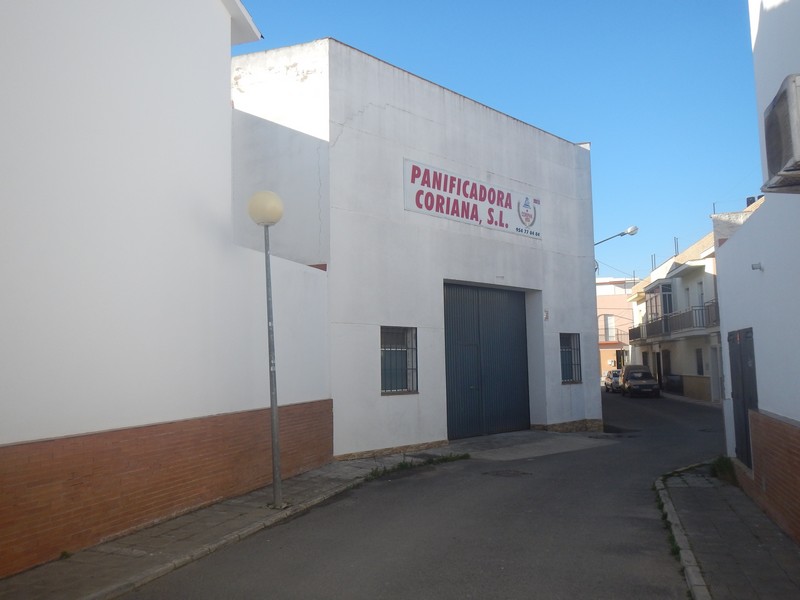 CL COLIBRI 2 - Imagen 1