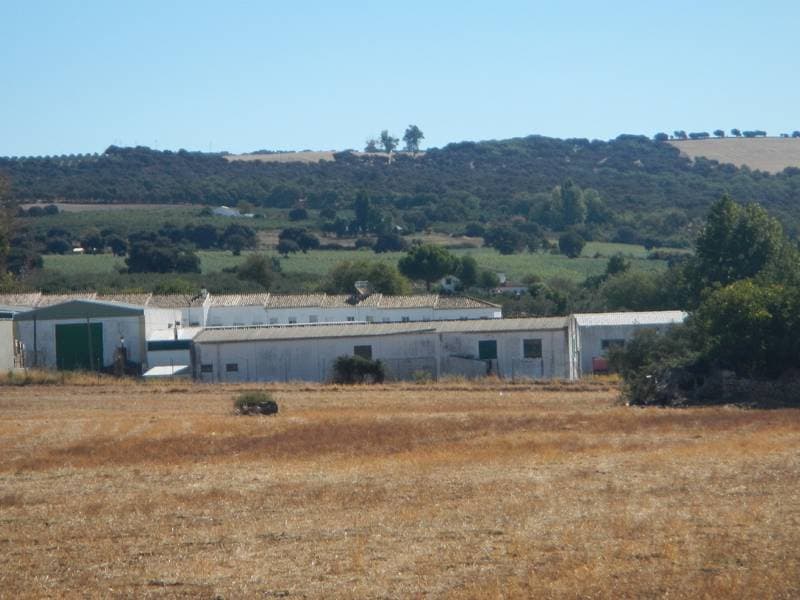 Finca registral nº 3229 del Registro de la Propiedad de OLVERA (CADIZ) s/n, Tomo 375, Libro 47 y Folio 68 - Imagen 1