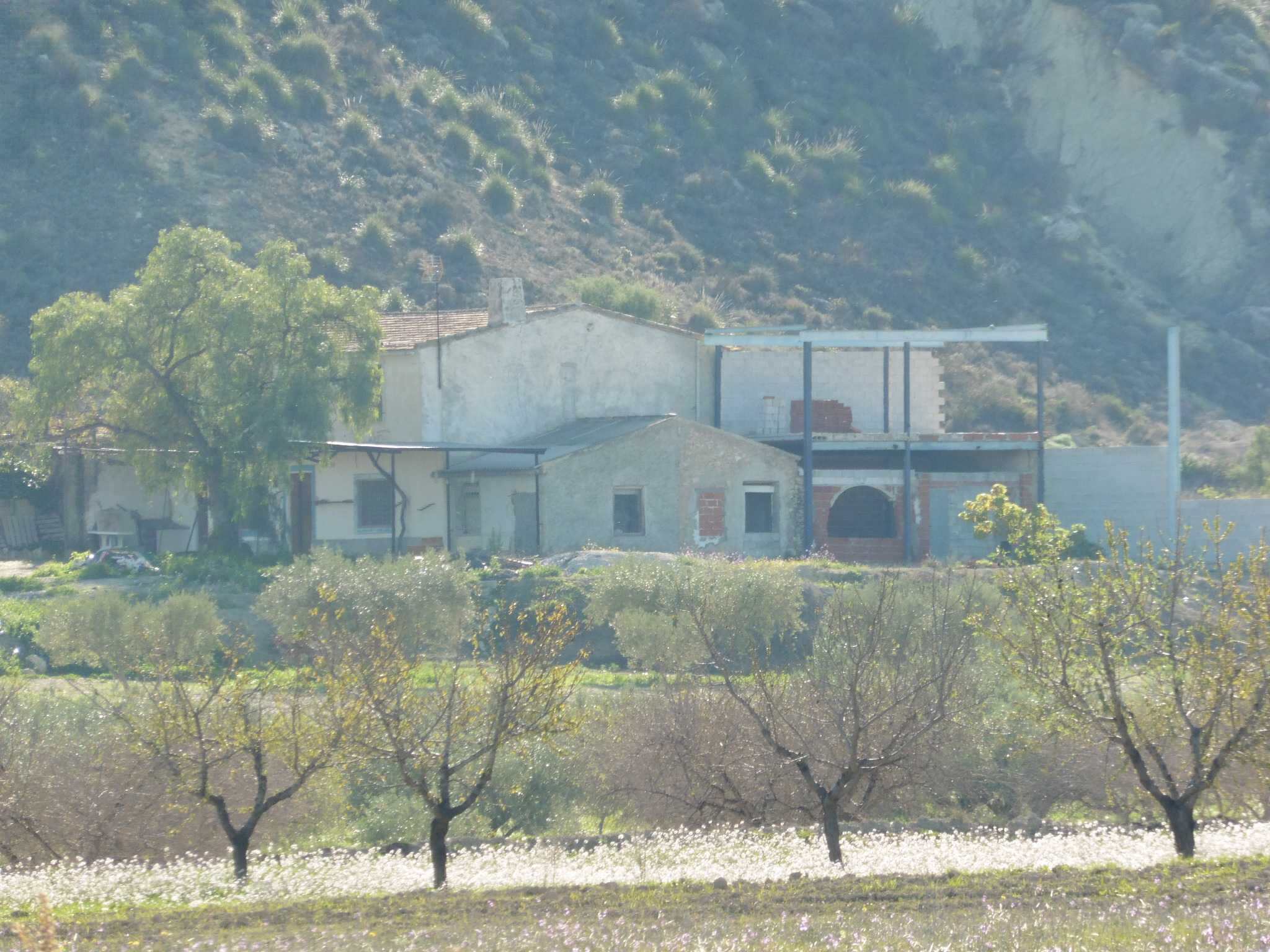 PJ DE LA ALQUIBLA 0 - Imagen 1