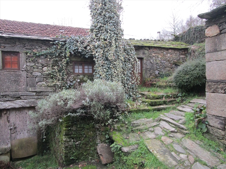 Finca con REFERENCIA CATASTRAL 32014A024019580001HO, sito en Al San Bartolomé, polígono 24, parcela 1958, Souto do Soto Boborás, de uso residencial, con una superficie construida de cien metros cuadrados y superficie del suelo de ciento treinta y un - Imagen 1