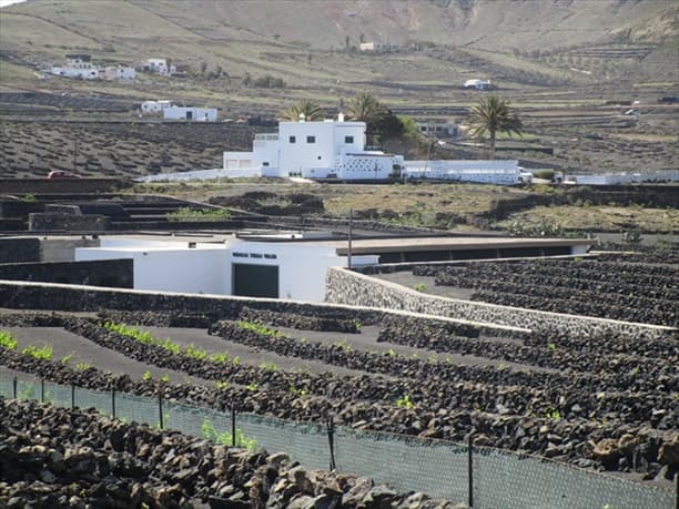 Finca nº 19.778 del Registro de la Propiedad de Arrecife. - Imagen 1