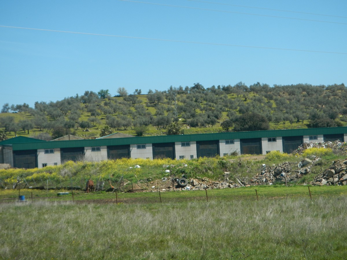 PG INDUSTRIAL EL PERRERO 0 - Imagen 1