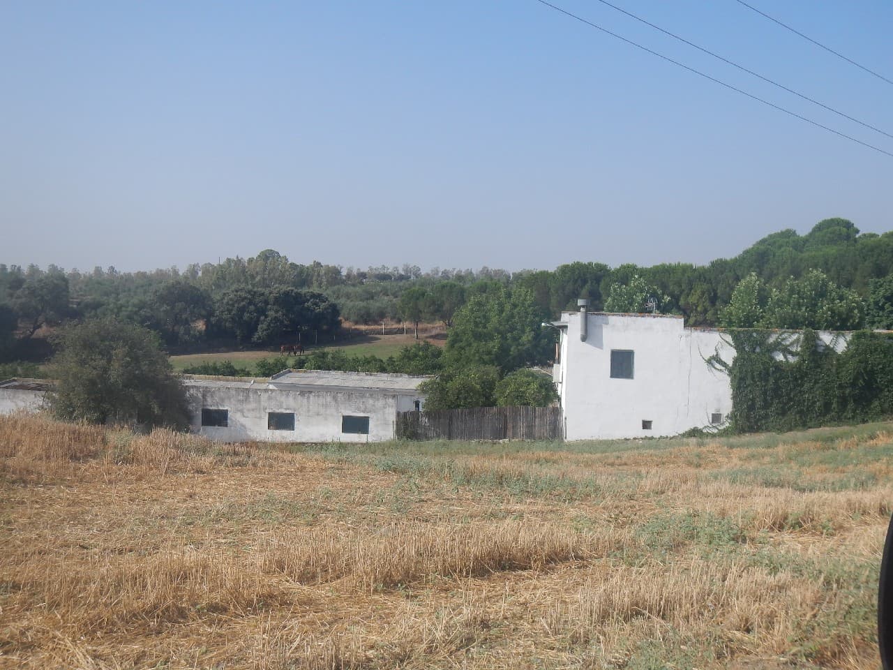 FINCA RÚSTICA SUERTE DE TIERRA EN EL TÉRMINO DE GUILLENA, PARCELA 18 - POLÍGONO 16 DE LAS PAJANOSAS LLAMADA HUERTA DE ALONSILLO (ALONSO LÓPEZ) - DISPONE DE VIVIENDA, ZONAS DEPORTIVAS, CUADRAS, ALMACÉN y JARDIN