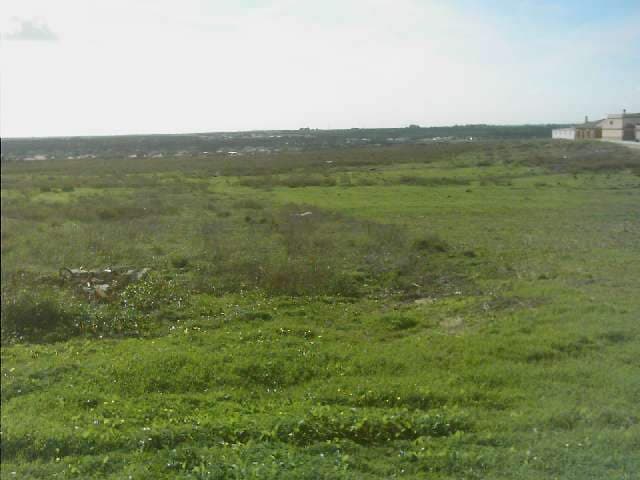 PJ LAS CONEJERAS 0 - Imagen 1