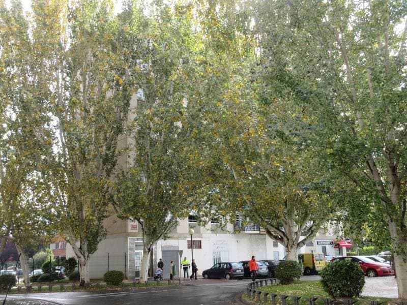 VIVIENDA SITA EN OBISPO LEPE Nº 7 5º B DE LOGROÑO