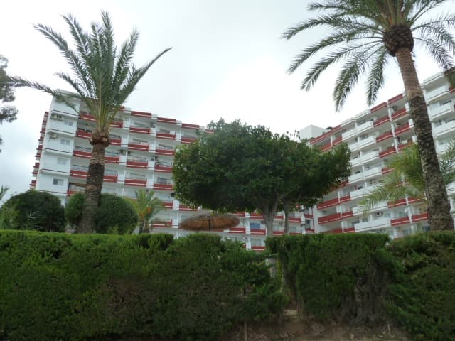 FINCA 13614 del Municipio de Alcudia - Imagen 1