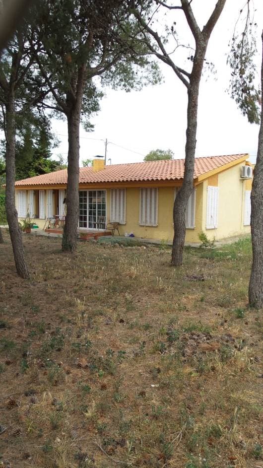 Finca registral 2314 - Imagen 1