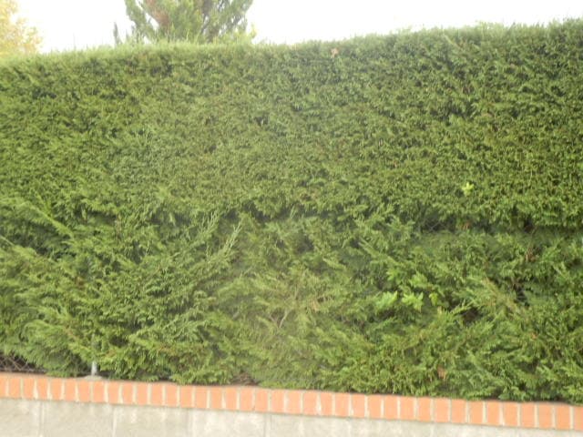 AV PUENTE ROMANO 28 Y - Imagen 1