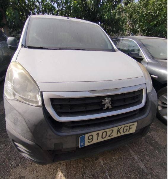 VEHICULO MIXTO ADAPTABLE PEUGEOT PARTNER TEPEE ACCESS 1 - Imagen 1