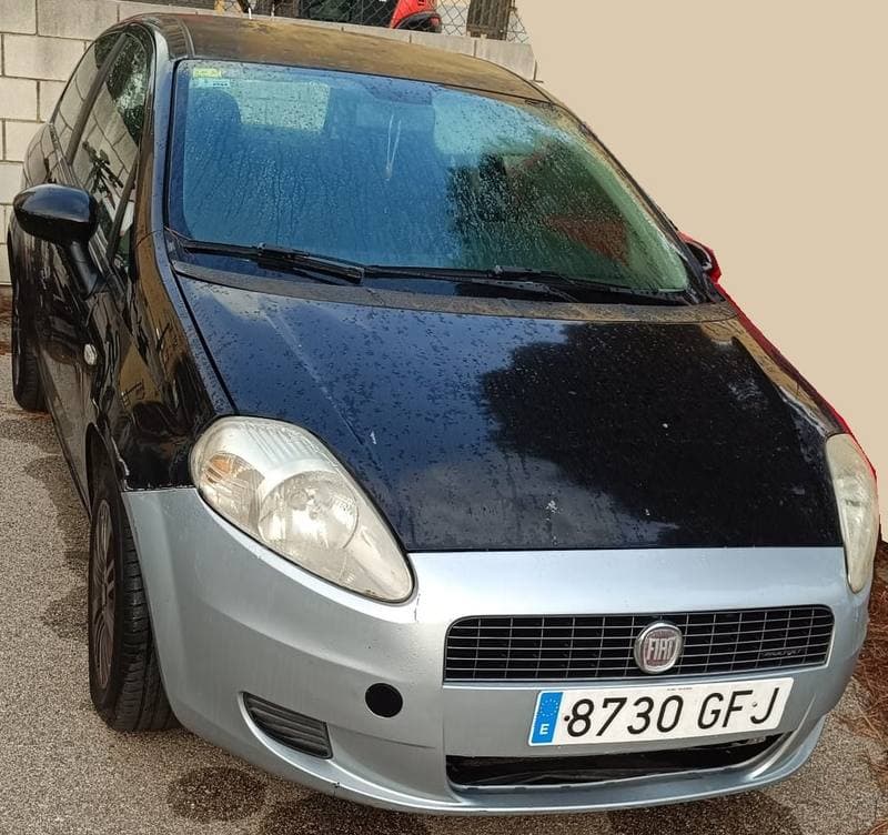 TURISMO NACIONAL/IMPORTACION FIAT PUNTO - Imagen 1
