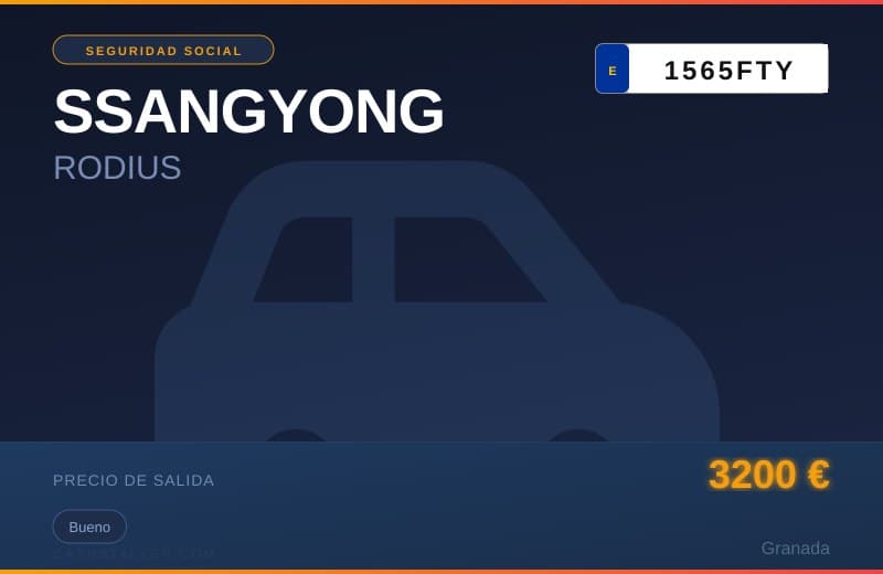 SSANGYONG RODIUS (1565FTY) - Imagen 1