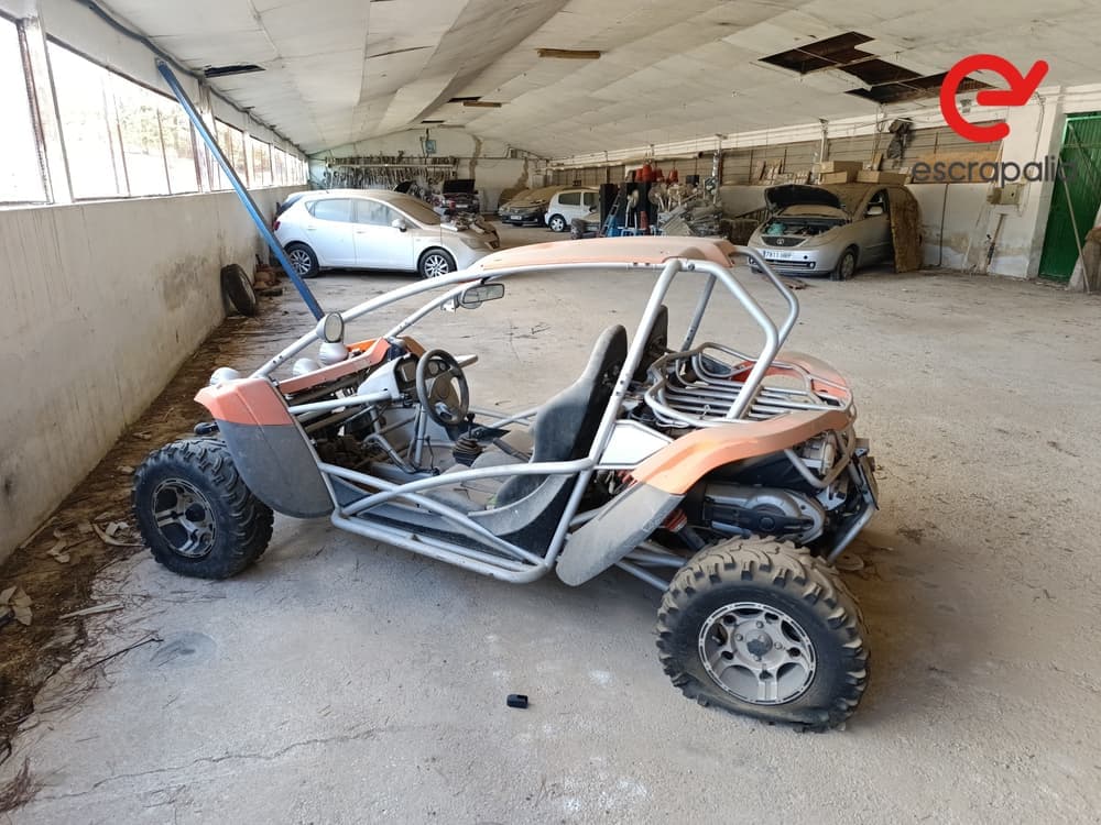 PGO BUG RACER 500 I - Imagen 1